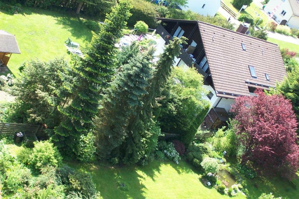 Hotel Gruenes Paradies- Garni Hochwaldhausen Eksteriør billede